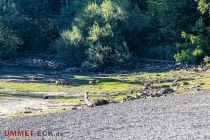 Normalerweise schwimmen die Tiere hier, nun können sie auch einmal herumlaufen. • © ummeteck.de - Silke Schön